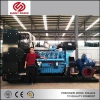 Bomba minera de deshidratación